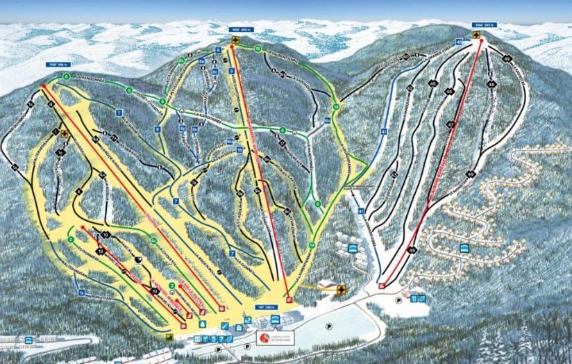 Chalets Alpins - 11 Chemin Des Skieurs ستونهارم المظهر الخارجي الصورة