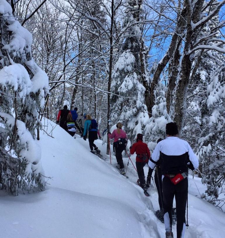 Chalets Alpins - 11 Chemin Des Skieurs ستونهارم المظهر الخارجي الصورة