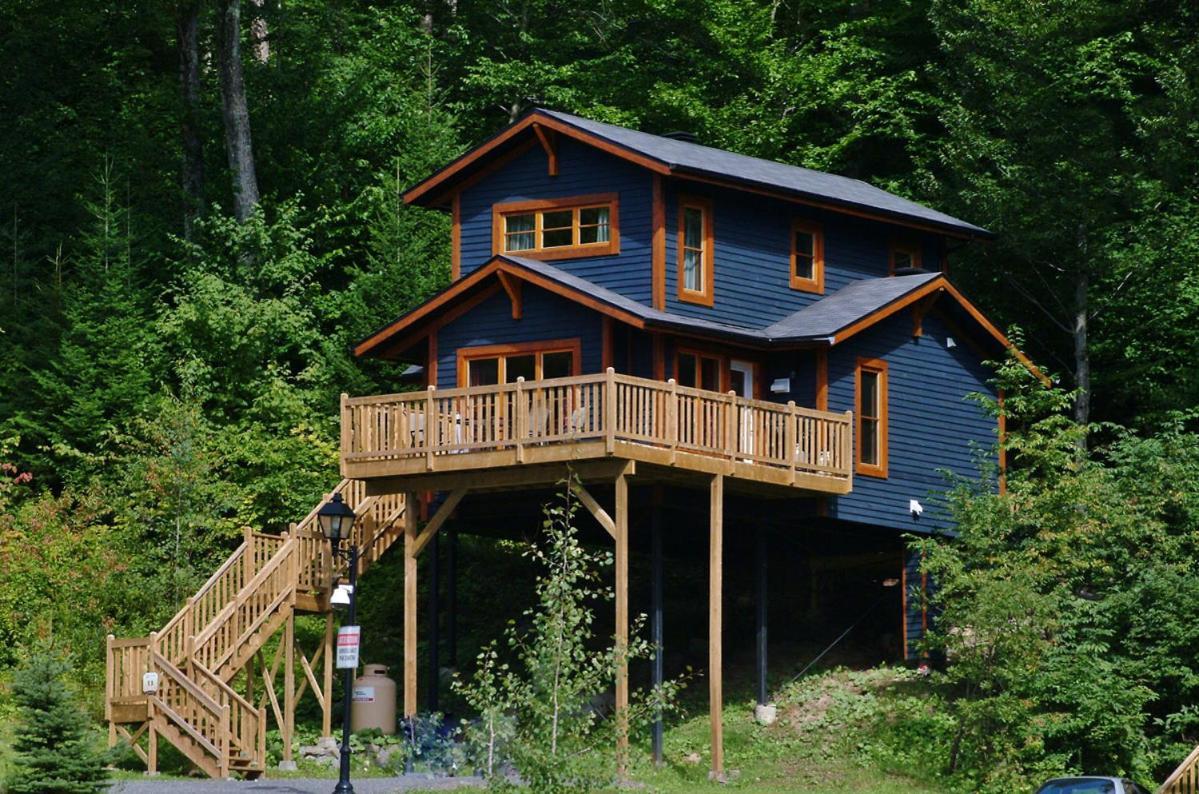 Chalets Alpins - 11 Chemin Des Skieurs ستونهارم المظهر الخارجي الصورة