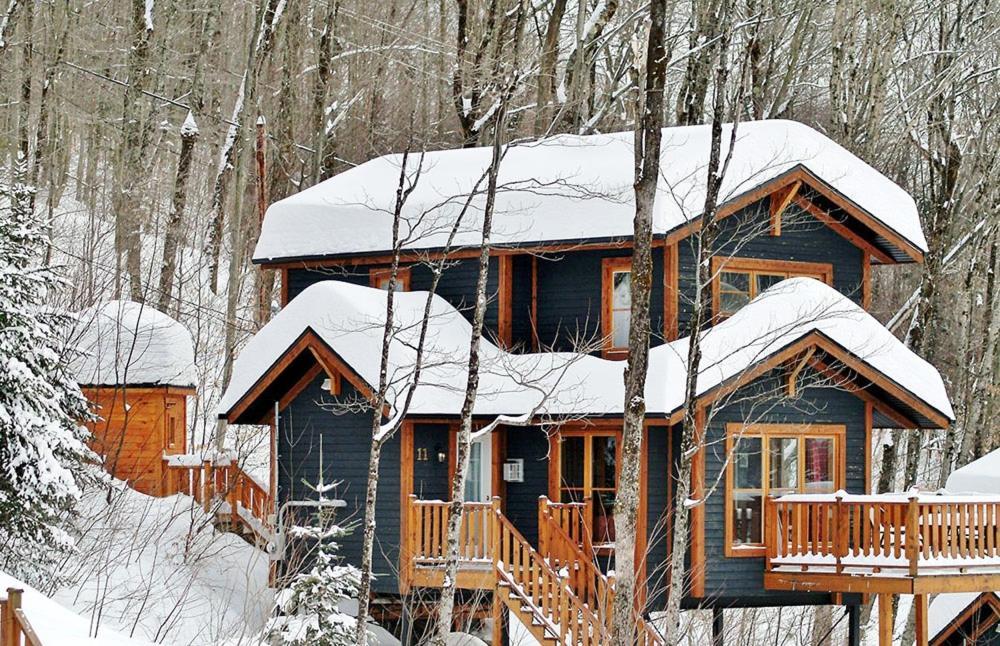 Chalets Alpins - 11 Chemin Des Skieurs ستونهارم المظهر الخارجي الصورة