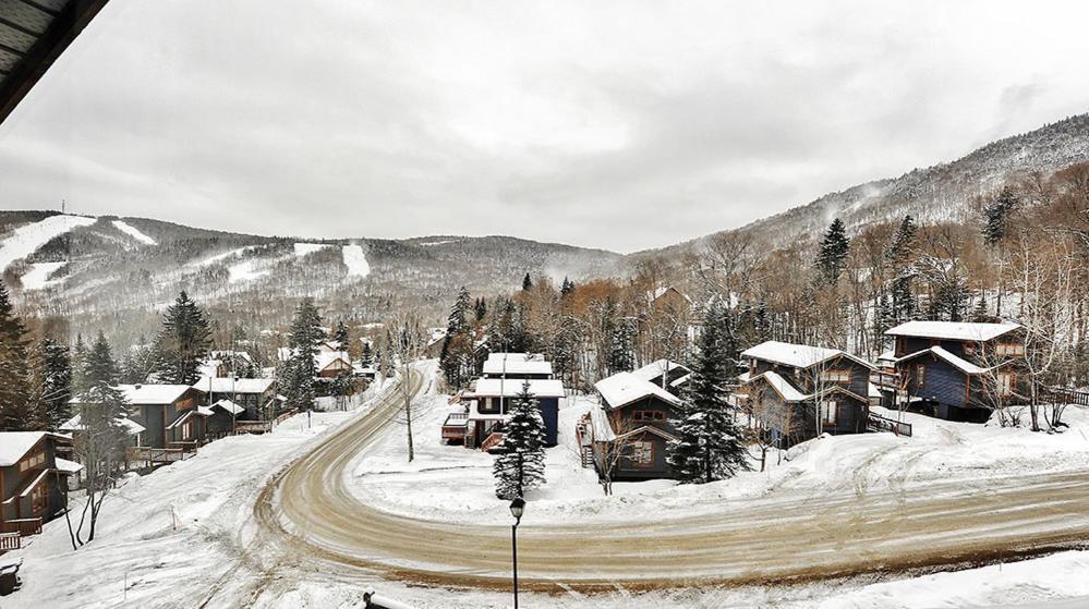 Chalets Alpins - 11 Chemin Des Skieurs ستونهارم المظهر الخارجي الصورة
