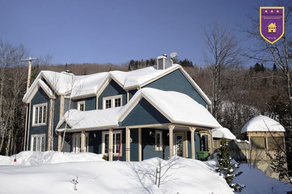 Chalets Alpins - 11 Chemin Des Skieurs ستونهارم المظهر الخارجي الصورة